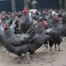 �u�л��w�u�������J���u��1����w�����J���u�a���J���u���l����