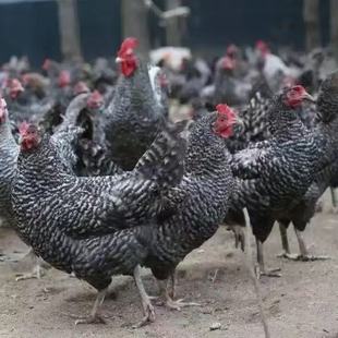 �u�л��w�u�������J���u��1����w�����J���u�a���J���u���l����