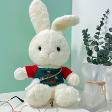 菲雪兔毛绒玩具菲雪穿衣兔公仔儿童布娃娃女生玩偶情人节生日礼物