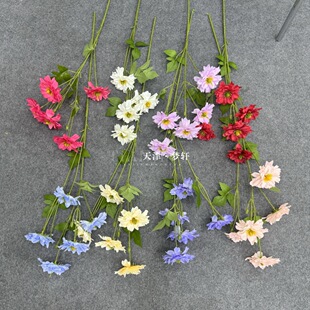 5�^�ڷN��ȸ�{ ��YС���²�˹�շ��滨�Ҿ��b[���zӰ���߼ٻ�