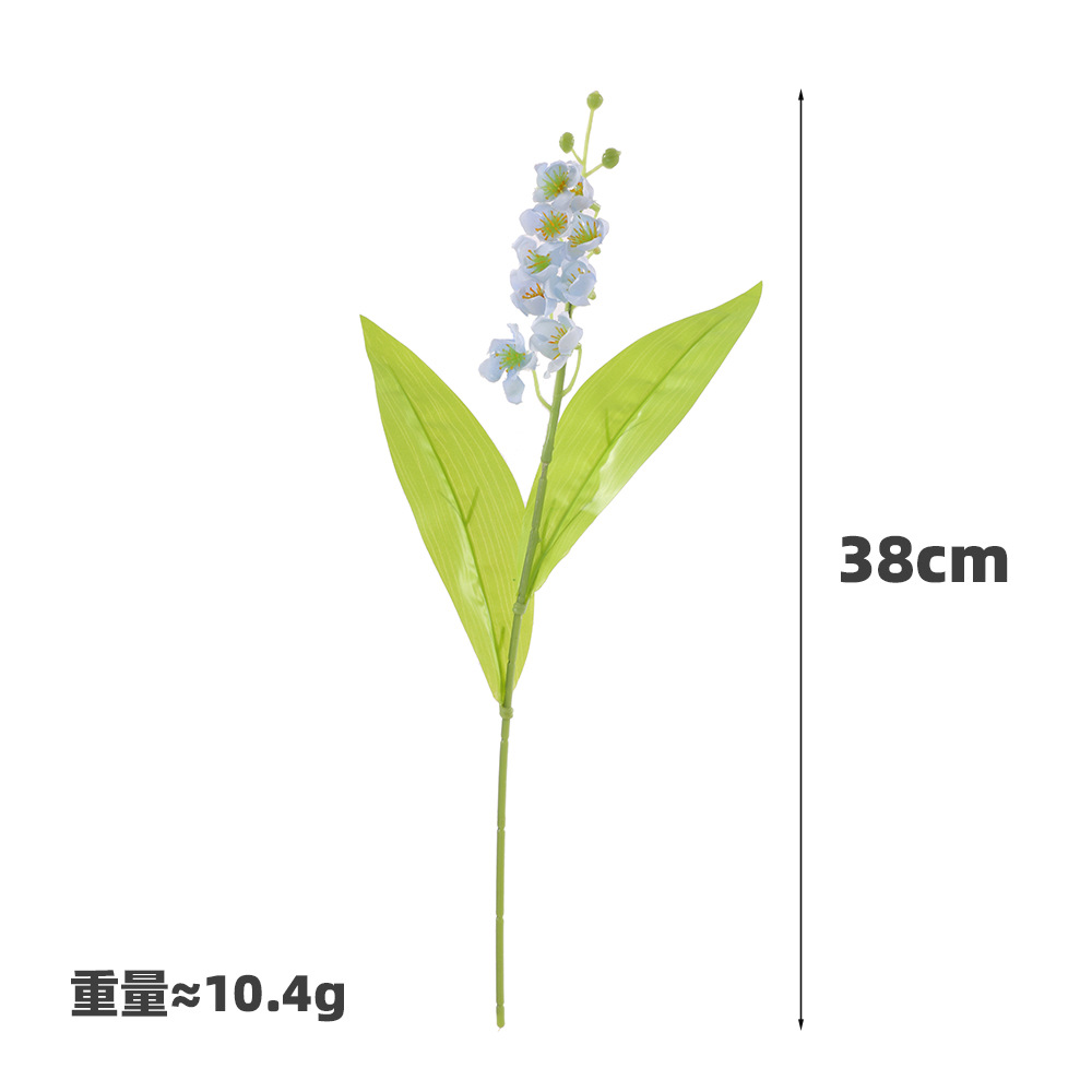 도라지-블루