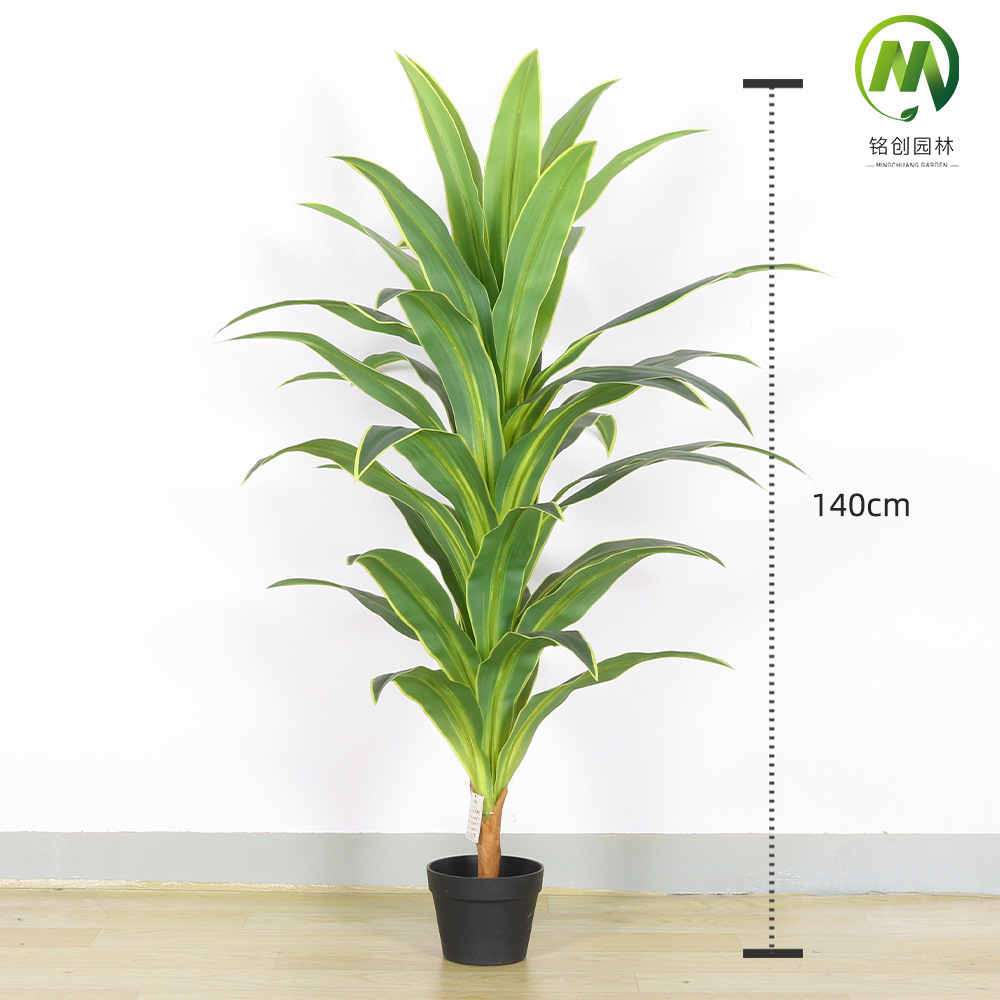 Planta verde de simulación de piso a gran escala, árbol de hierro rojo, madera brasileña, decoración interior, planta de simulación, hierro brasileño de borde amarillo