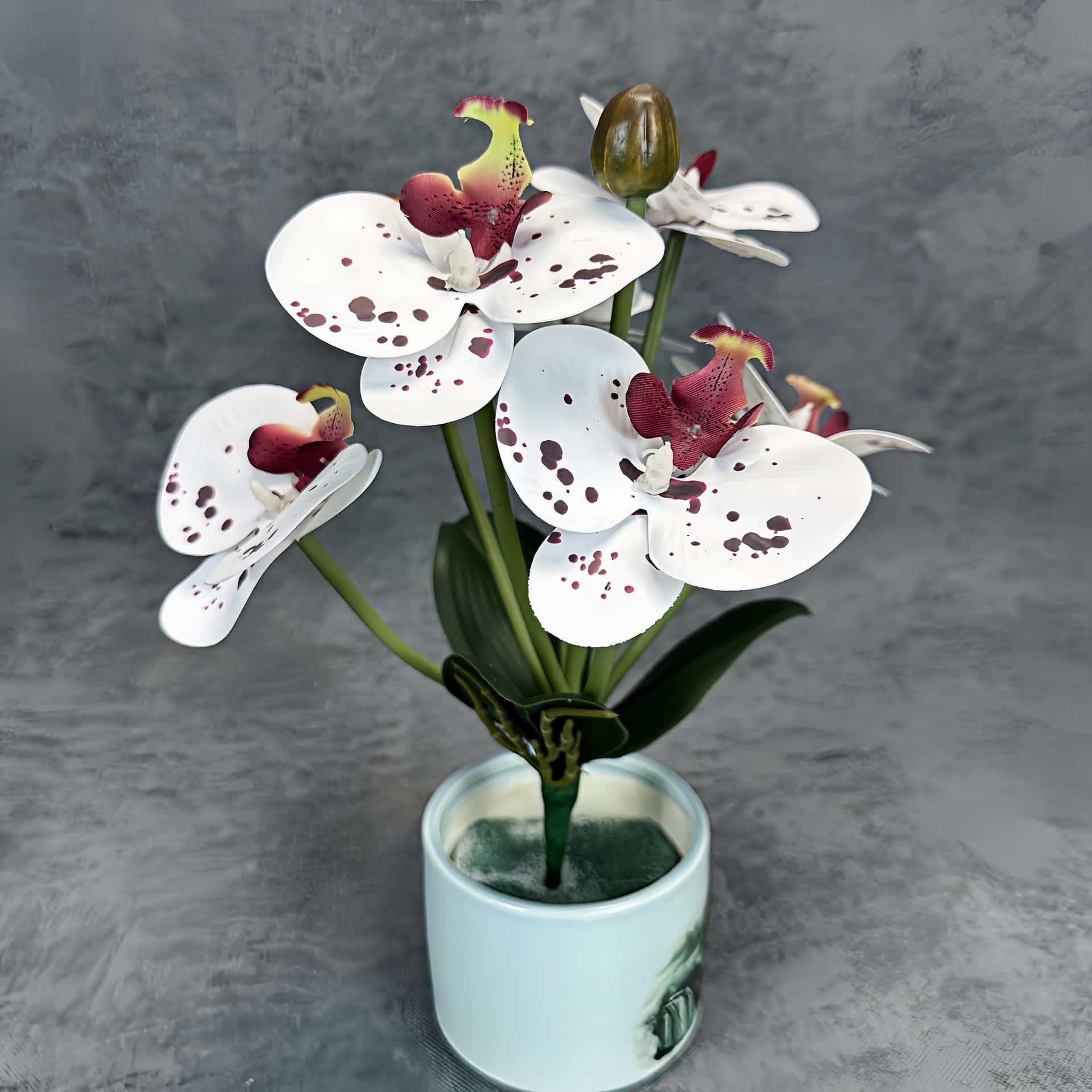 Simulación de impresión 3D orquídea mariposa en maceta decoración de la sala de estar accesorios adornos de flores falsas transfronterizas al por mayor