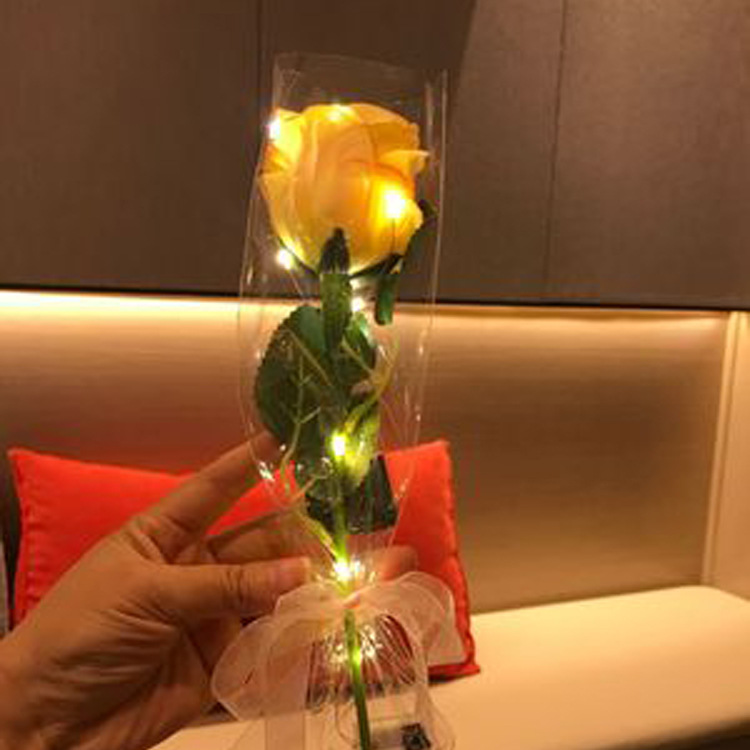 O1CN01YZszci1b0cUyPFQEp_!!2010