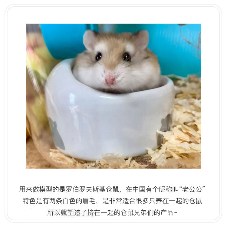 O1CN01NkpmYG1k52vX0hRDy_!!3334