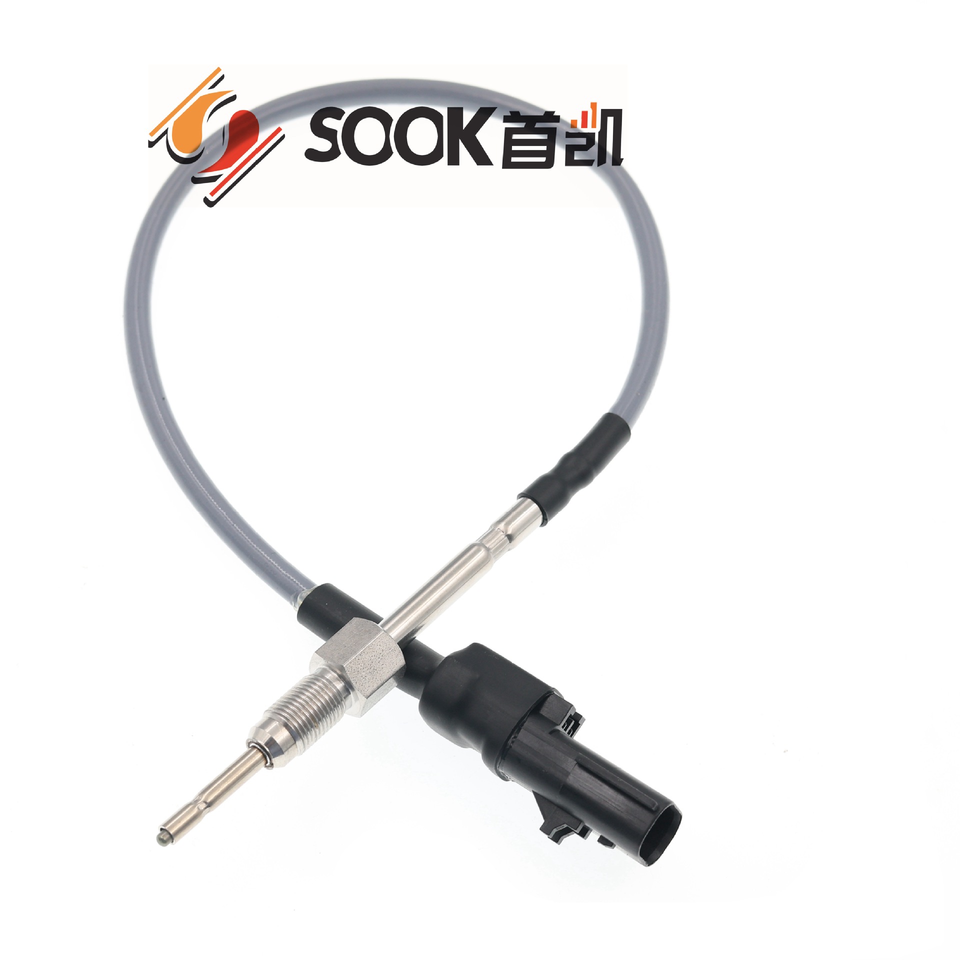 DW1A6794_副本_副本