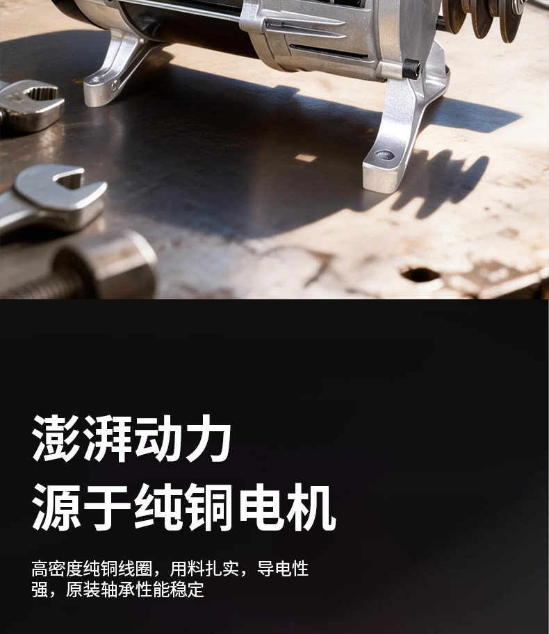 皮带电机_05