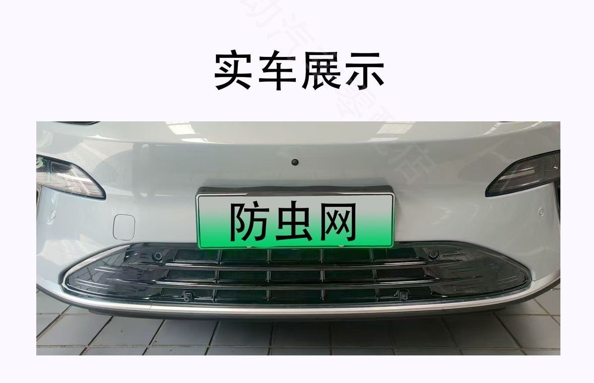 Suitable for Leapmotor C11 Front Grille Water Tank Protection, Leapmotor C11C16/T03/B10 Detachable Car Part, No Disassembly Required