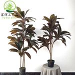 仿真朱蕉秋红铁绿植盆栽组合造景仿真树装饰道具摆件厂家批发