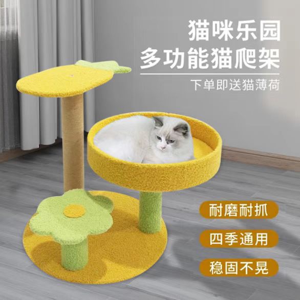 파인애플의 높이는 40입니다