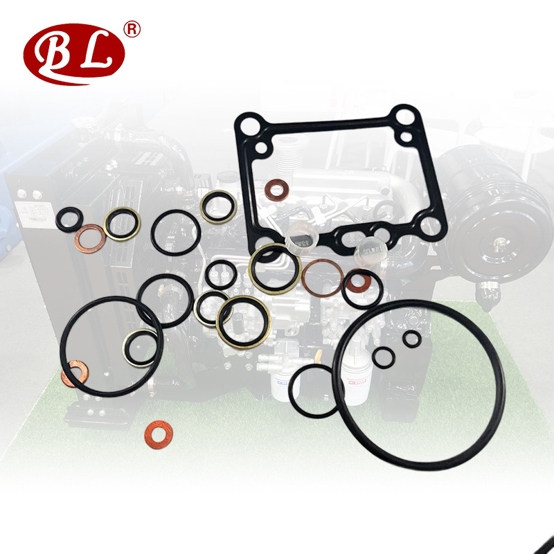 厂家直销Yamars X4-3泵头修理包用于X4-3发动机零件的燃油泵修理