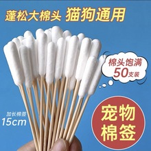 宠物耳朵清洁棉签单头大头猫咪狗狗洗眼耳螨清洁清理擦拭加长棉棒