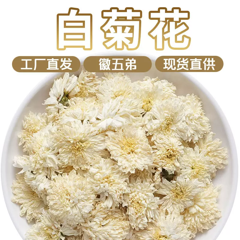 徽五弟刚刚产新黄山白菊花黄山菊花茶原产地多品源头大货批发荷叶