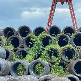 儿童读物;社科生活;四件套