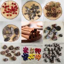 �¿��ݼy�ֹ�����iyɭ�ֲ��ϰ����bɘ�֦�~�[�����ɻ���