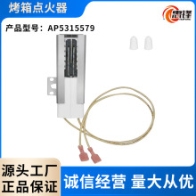 厂家直供碳化硅点火器热表面点火器用于烤箱燃气灶点火器AP531557