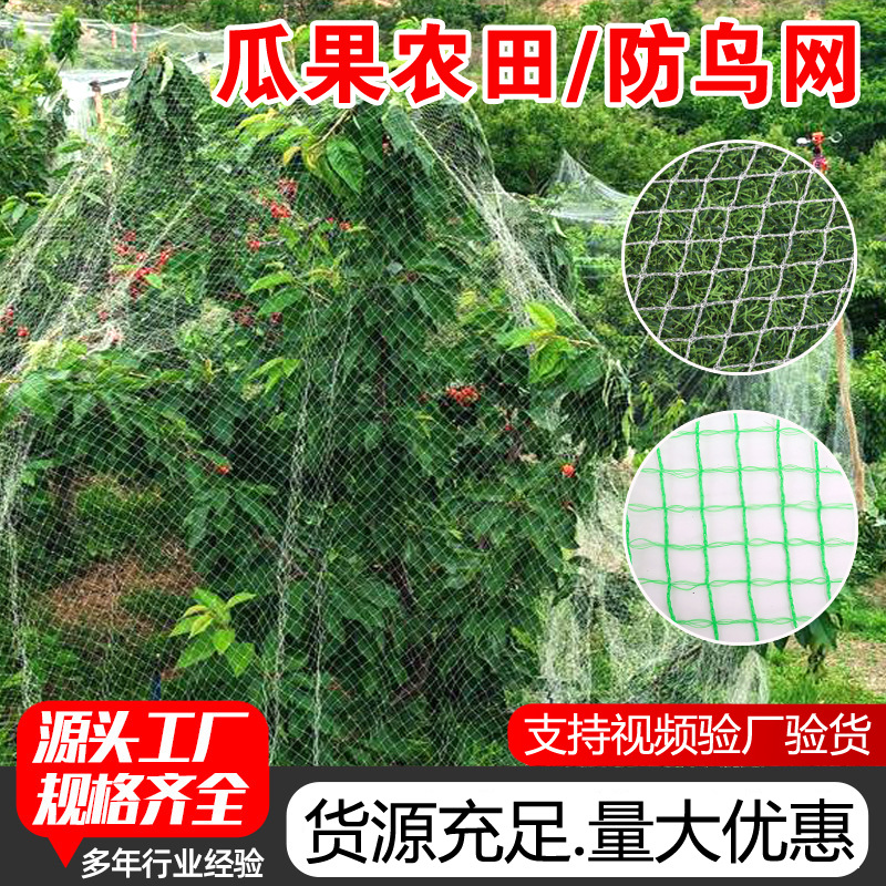 防雹网防鸟网果树园林防防护网白色聚乙烯养殖网防冰雹网加厚网子