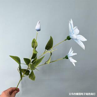 ����3�^�F��ɏ�ɻ���c��Y�廨��픰ٺϵ��Ż��ٻ��Ҿә����b�