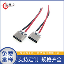 USB TYPE-Cĸ2PINzmLED늿typec늽ӿ