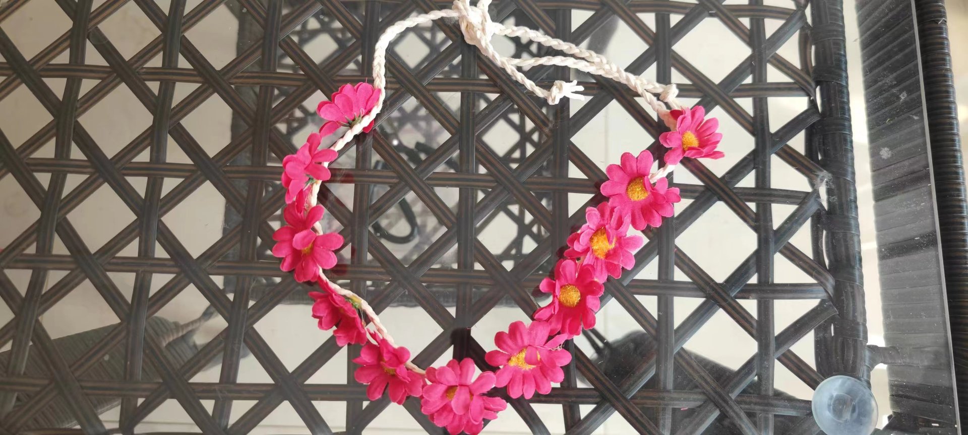 微信图片_20240326125220