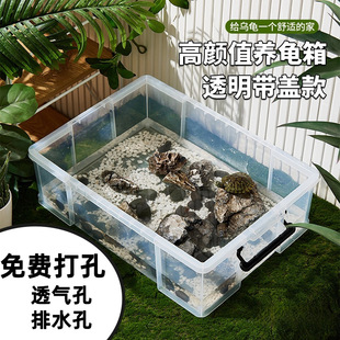Turtle Turnover Box Breeding Tank Large with Lid Ecological Landscaping Plastic Transparent Turtle Tank Fish Tank Household Aquarium