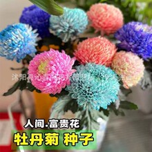 ���lĵ���շN�ӽ�ĵ�����ļ��_�����g���F���໨�ɾջ��N�̨����