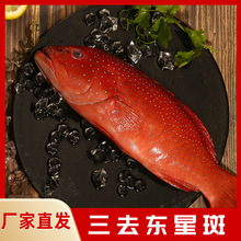 ���ϱ��r�|�ǰ��ʯ���~���r�r����~������t�߾Ƶꌣ��ʳ����