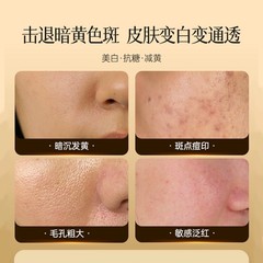 Belleve Whitening Essence Facial Care Spot Remover Brightening Yellowing Reduction Wrinkle Fading Anti-Aging Skincare Wholesale