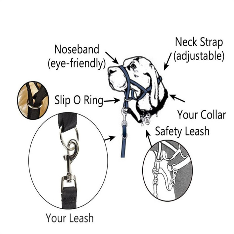 ce8e5ea140059e2262193cfcc2affe