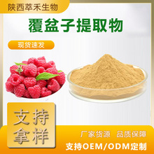 覆盆子提取物50：1 水溶性覆盆子粉 覆盆子浓缩粉 现货供应