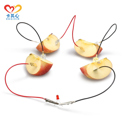 Scientific experiment fruit power generation experiment potato power generation fruit battery experimental equipment DIY physics small production