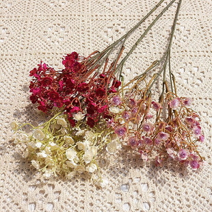 ��ɫ�Wʽ�M���� �ǳ��� �ҾӾƵꙻ����c�zӰ���˹���