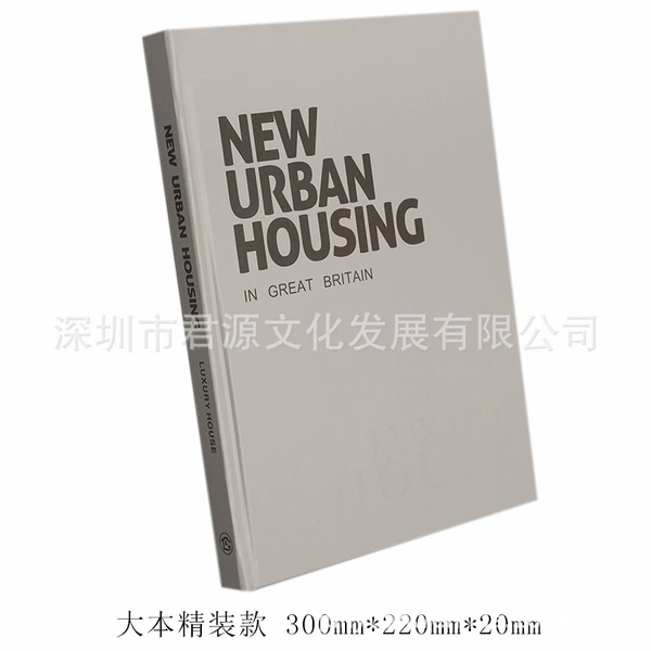 300 Modern Foreign Language Decoration Book I