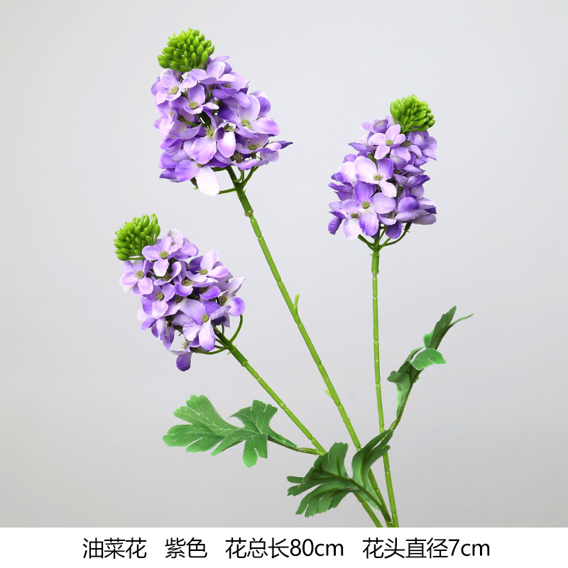 유채꽃 (신상)