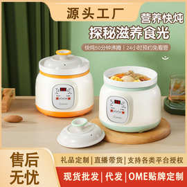 陶瓷电炖锅煲粥专用锅小型炖锅宝宝辅食家用全自动煲汤锅煮粥炖锅