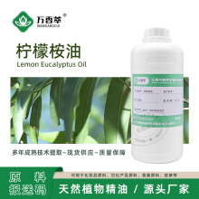 �������� �������� ֲ����ȡ�������~�� �����ȼ����� �F؛���l