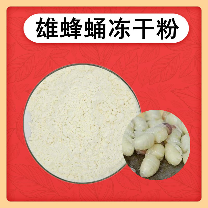 雄蜂蛹冻干粉 雄蜂蛹粉  雄蜂蛹提取物雄蜂冻干粉 500g/袋