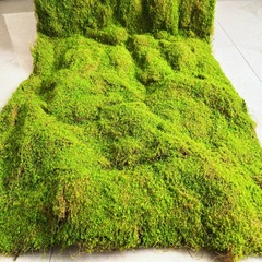 ヒツジの糸は苔の塊の草の皮の偽のコケの太鼓の包みの置物の装飾の柔らかい装飾の緑の壁の人工芝生の花芸をシミュレーションします。
