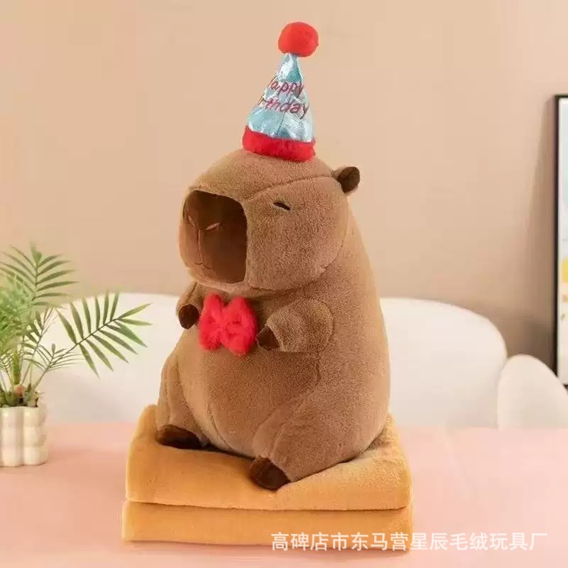 생일 모자 카피바라