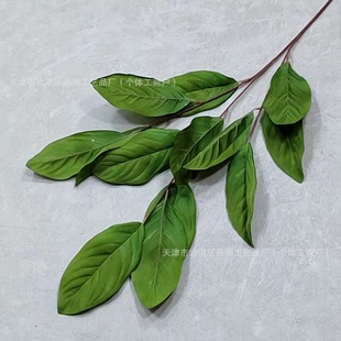 ����ֲ���~�Gֲ�����~��Y�c��Ƶ��픻�ˇ�~���b[������~