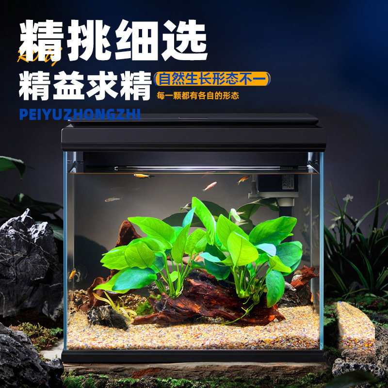 商品图