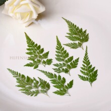 Ⱦɫ��ާ�� ���� Ⱦ�GɫС�����~��DIY�b����׸ɻ�����