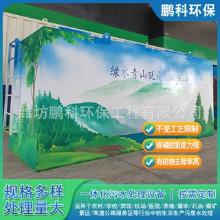 住宅区公寓楼农村生活污水处理设备集装箱式一体化污水处理设备