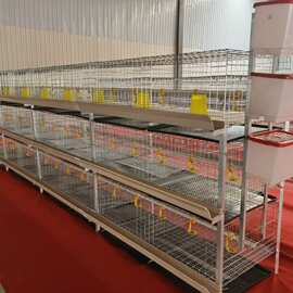 厂家三层肉鸡笼立式肉鸡笼H型农户家庭养鸡厂鸡笼子粪盘肉鸡笼
