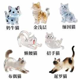 新品透明猫毛收纳盒饰扭蛋猫咪跨境毛发存放胶囊包钥匙扣挂件纪念