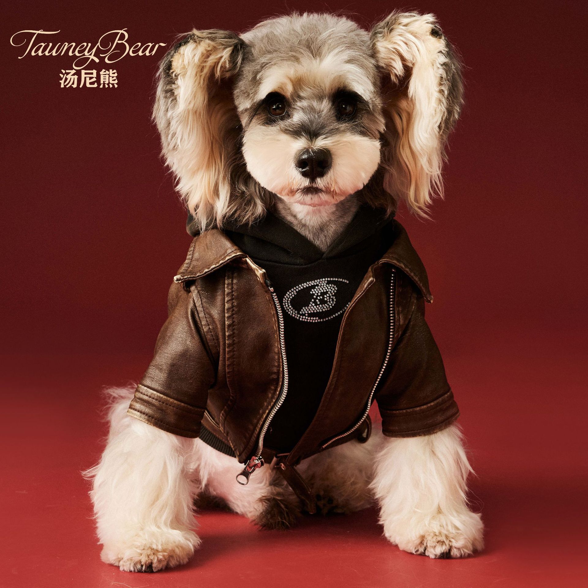Tony gấu quần áo chó quần áo thu đông Schnauzer Teddy Bixiong hoài cổ áo khoác da xe máy đẹp trai cổ điển