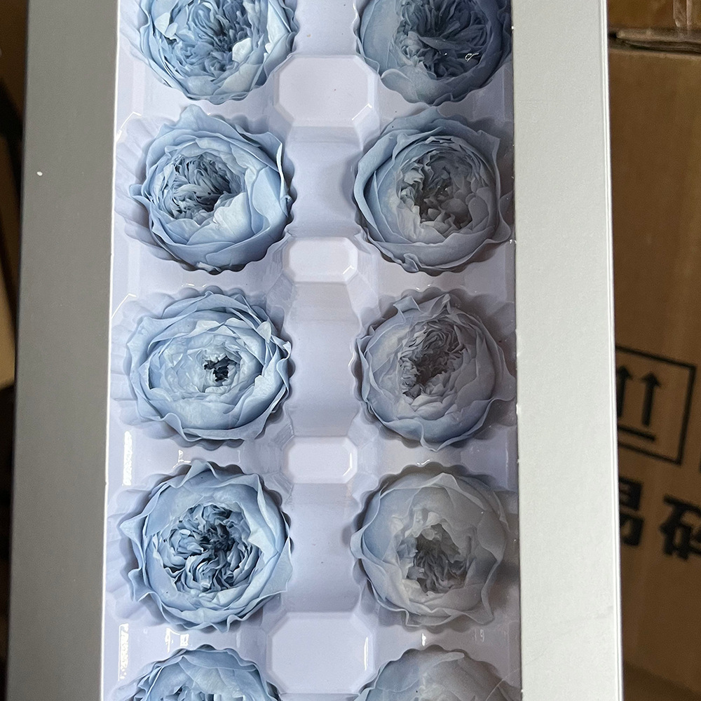 Grado A 3 - 4cm Azul 10 flores / caja