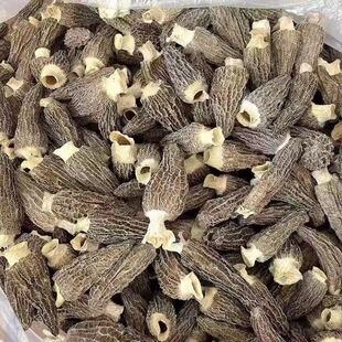 ��Ǿ���؛5-8�������l������ͮ������Ǿ����ֶY����خa��Ǿ�