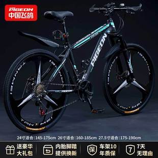 ���w����Ş�꡿�X�Ͻ�ɽ������܇������Ů������W���p��׃��ِ܇