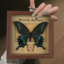 ������˱���� �b����w�[���ֹ�diy���նY�� ���x�˱�
